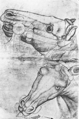 Studio di Horse Heads Studio di Horse Heads