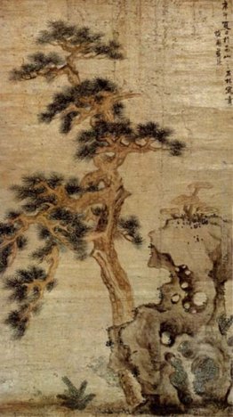 Rocce e Reishi Rocce e Reishi