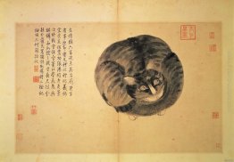 Cat (Sketches from Life) Cat (Sketches from Life)