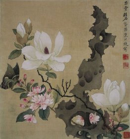 Magnolia e Erigere Roccia Magnolia e Erigere Roccia