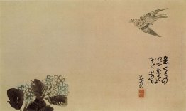 Un po 'di cuculo attraverso un ortensia (Haiga) Un po 'di cuculo attraverso un ortensia (Haiga)