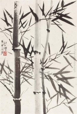 Bamboo Bamboo
