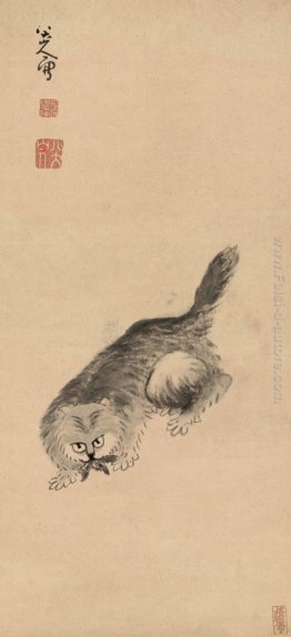 Gatto e farfalla Gatto e farfalla