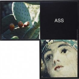 Ass: Maquette per la Serie Gomito (A2) Ass: Maquette per la Serie Gomito (A2)