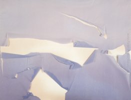 Tessuto Serie strappo: Untitled Tessuto Serie strappo: Untitled