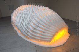 Le vostre aspettative per cellulari Le vostre aspettative per cellulari