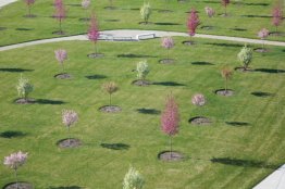 Super Speciale Felice Place (vista l'installazione) Super Speciale Felice Place (vista l'installazione)