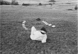 Strecke Peso Forma Strecke Peso Forma