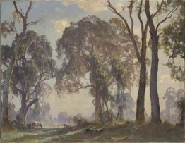 Margini della radura Margini della radura