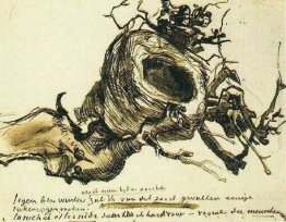 Nido d'Uccello Nido d'Uccello