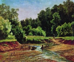 Forest Landscape Forest Landscape