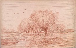 Fiume Paesaggio: Creek che attraversa un prato alberato Fiume Paesaggio: Creek che attraversa un prato alberato