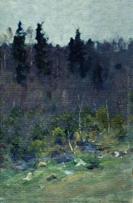 Primavera in anticipo. L'ultima neve. Primavera in anticipo. L'ultima neve.