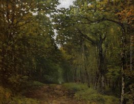 Viale dei Castagni vicino a La Celle Saint Cloud Viale dei Castagni vicino a La Celle Saint Cloud