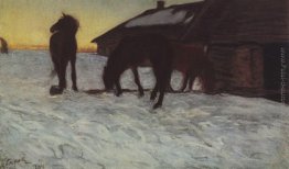 Colts a Watering Place. Domotcanovo Colts a Watering Place. Domotcanovo