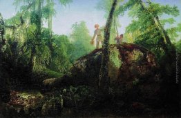 Pietra nella foresta vicino la fuoriuscita Pietra nella foresta vicino la fuoriuscita