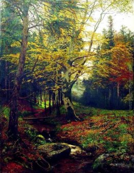 Torrente nel bosco Torrente nel bosco