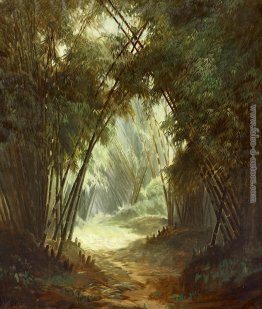 Bamboo Forest Bamboo Forest