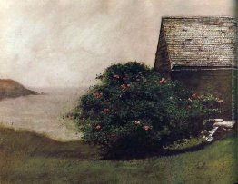 Isola Roses Isola Roses
