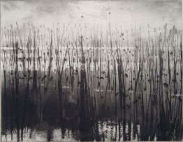 Overy Paludi Overy Paludi