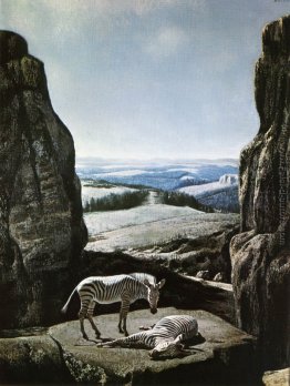 Sleeping Zebra Sleeping Zebra