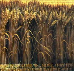Grano Grano