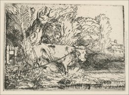 Il Toro Il Toro