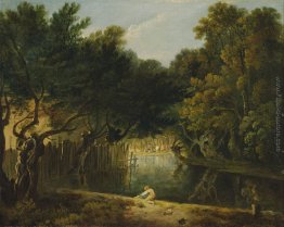 Vista della Wilderness nel parco di St. James Vista della Wilderness nel parco di St. James