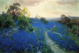 Bluebonnet Campo Bluebonnet Campo