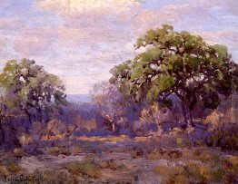 Brush Country Landscape Brush Country Landscape