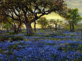 Vecchia Quercia virgiliana e Bluebonnets sui Texas occidentale m Vecchia Quercia virgiliana e Bluebonnets sui Texas occidentale m