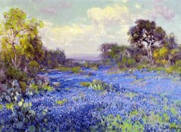 Cofani blu a tardo pomeriggio Cofani blu a tardo pomeriggio
