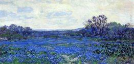 Campo di Bluebonnets Campo di Bluebonnets