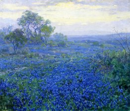 Una giornata nuvolosa, Bluebonnets vicino a San Antonio, Texas Una giornata nuvolosa, Bluebonnets vicino a San Antonio, Texas