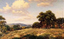 Viola Hills Viola Hills