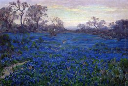 Bluebonnets al crepuscolo, nei pressi di San Antonio Bluebonnets al crepuscolo, nei pressi di San Antonio
