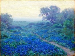 Bluebonnets a Alba Bluebonnets a Alba
