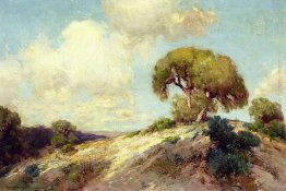 Sunlit Hillside Sunlit Hillside