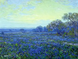 Campo di Bluebonnets sotto il cielo nuvoloso Campo di Bluebonnets sotto il cielo nuvoloso
