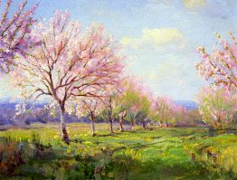 Peach Orchard su Mavericks Farm Peach Orchard su Mavericks Farm