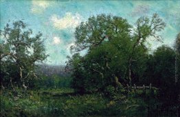 Paesaggio Paesaggio
