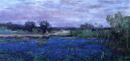 Cofani Blu at Twilight Cofani Blu at Twilight