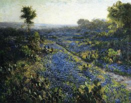Campo di Texas Bluebonnets e Prickly Pear Cactus Campo di Texas Bluebonnets e Prickly Pear Cactus