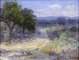 Un percorso attraverso le Texas Hill Country Un percorso attraverso le Texas Hill Country