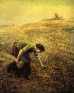 Spigolatura Spigolatura