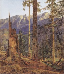 Il H?llengebirge a Ischl Il H?llengebirge a Ischl