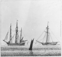 Mare con le navi Mare con le navi