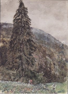 Il grande pino a Gastein Il grande pino a Gastein
