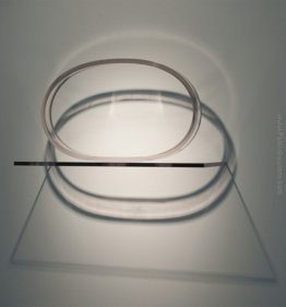 Anello ovale Anello ovale