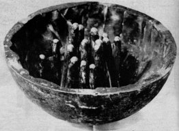 Foresta musicale Foresta musicale